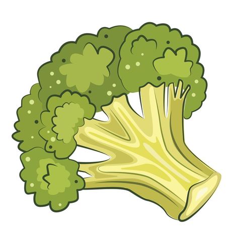 vector stock illustration of green broccoli isolated on white background. diet nutrition ingredient, fresh eco vegan vegetarian vegetable in cute cartoon style Broccoli Illustration, Diet Nutrition, Vector Stock, Cartoon Style, Diet And Nutrition, Vector Graphics, Cartoon Styles, Vegan Vegetarian, Broccoli