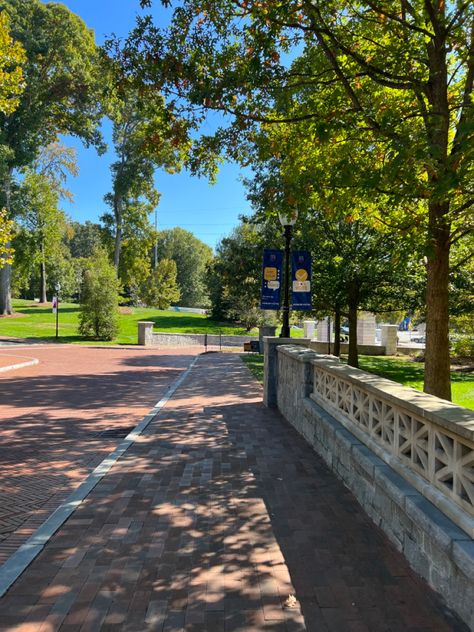 Emory University Aesthetic, Emory Aesthetic, Emory College, Campus Aesthetic, Dream University, Motivational Board, Emory University, Nurse Aesthetic, School Vibes