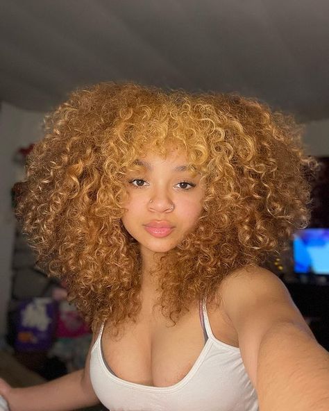 Curly Hair Honey Blonde, Blonde Hair Strawberry, Mixed Girl Curly Hair, Hair Blonde Curly, Hair Color Curly, Curly Hair Blonde, Hair Honey Blonde, Mixed Girl, Dyed Curly Hair