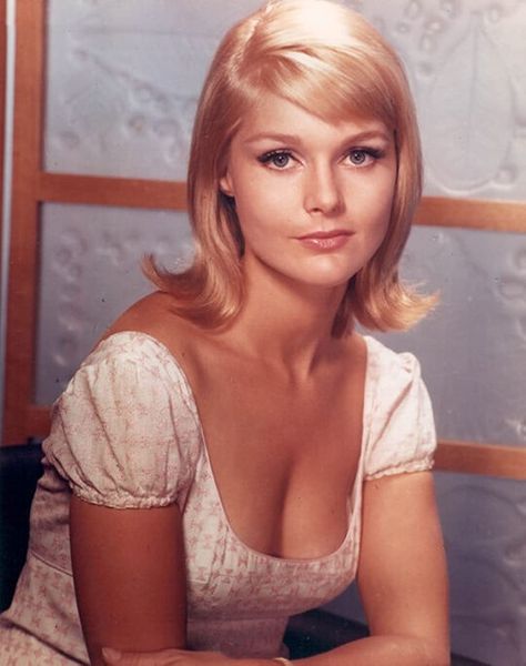 Carol Lynley Tom Simpson, New Haircut Ideas, Carol Lynley, Actresses Hollywood, Stella Stevens, Donna Mills, Hollywood Photography, Hollywood Women, Vintage Actresses