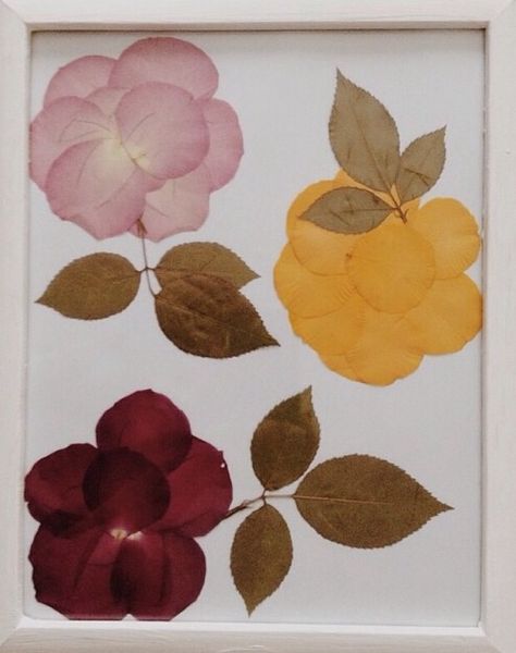 Pressed rose petals & leaves Rose Petals Craft, Pressed Rose Petals, Pounded Flowers, Pressed Roses, Tattoos Architecture, Celebrities Tattoos, Pressed Flowers Diy, Flower Petal Art, Design Humor