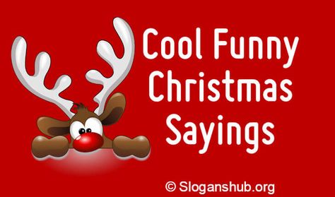 Below is a list of 65 Cool Funny Christmas Sayings | Short funny Christmas Sayings to keep you Laughing until the new year.   Only an accountant Christmas Funny Quotes Humor, Funny Xmas Wishes, Reindeer Sayings Cute, Sassy Christmas Sayings, Funny Reindeer Quotes, Christmas Sayings Funny, Dirty Christmas Quotes, Christmas Short Quotes, Funny Short Phrases