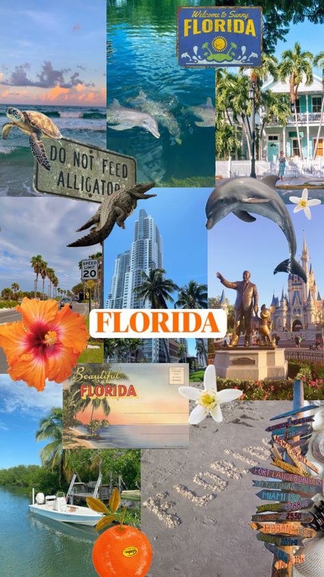 florida you were beautiful & you’ll be missed 🥲#moodboard #florida Speed Limit, You Are Beautiful, Mood Board, Florida, London