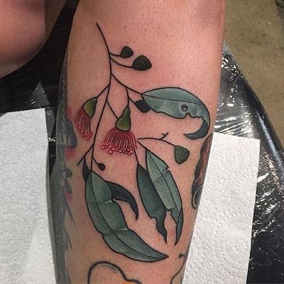 Australian Flowers Tattoo, Native Australian Flowers Tattoo, Eucalyptus Tattoo, Native Australian Flowers, Australia Tattoo, Australian Tattoo, Wrist Tattoo Cover Up, Native Tattoos, Australian Flowers