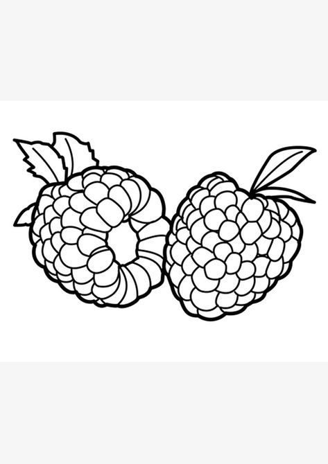 Raspberry Coloring Pages For Kids Fruit Coloring, Silk Ribbon Embroidery Patterns, Sketch Icon, Fruit Coloring Pages, Kid Coloring Page, Raspberry Color, Fruit Illustration, Clipart Black And White, Book Art Drawings