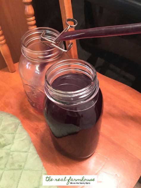 How to make your own organic grape juice Canning Grape Juice, Steam Juicer, Juice Jar, Cooking Oatmeal, Canning Lids, Peach Juice, Juice Concentrate, Grape Juice, Apple Juice