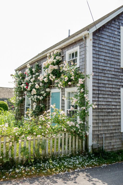 Cutest Homes Nantucket Flowers Gucci Matelasse Bag, Nantucket Hotels, Nantucket Style Homes, Nantucket Home, Lake Style, Nantucket Style, Florida Orlando, Nantucket Island, Modern French Country