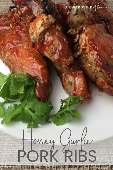 Honey and Garlic Pork Ribs Recipe ~ StewardshipAtHome.com