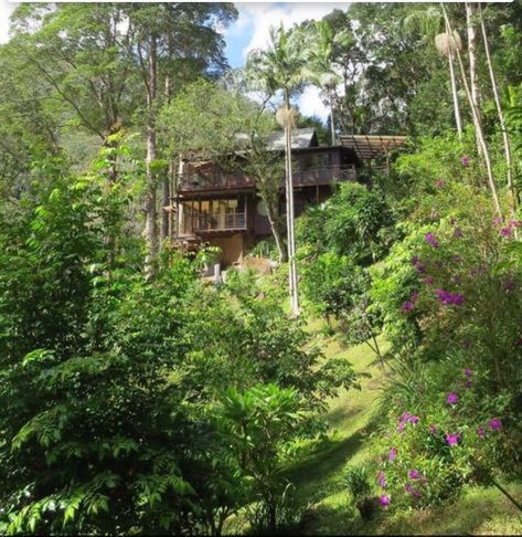 #house #home #woodenhouse #foresthouse #rainforest #dreamhome #trees #nature #bohemian #boho Rainforest House, Rainforest Home, Woods House, Trees Nature, Dream Places, Forest House, Wooden House, Cabin Homes, House In The Woods