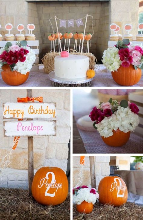 Pumpkin Fall Party Collection - Birthday Party Ideas & Themes Patch Party Ideas, Autumn Party Ideas, November Birthday Party, Birthday Party Ideas Themes, Pumpkin Patch Birthday Party, Party Ideas Themes, Little Pumpkin First Birthday, Halloween Pumpkin Cake, Pumpkin Patch Birthday