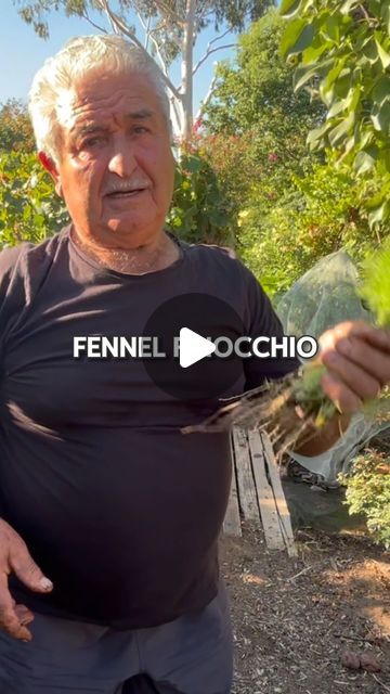 10K views · 1.1K likes | Nick Rendina | The Happy Harvester on Instagram: "Now it’s time to plant the fennel seedlings out! 🌱🌱See Part 1 for how Nick prepares his farrows.  #fennel #growfennel #fennelgrowing #ediblegardening #homegrownveg #finocchio #plantvegetables #growsomefood #thehappyharvesterstable #nickthehappyharvester" 10k Views, Edible Garden, Italian Food, Fennel, The Happy, Italian Recipes, Plants, On Instagram, Instagram