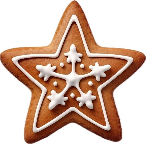 Gingerbread Star Cookies, Star Gingerbread Cookies, Star Cookies Decorated, Gingerbread Star, Star Sugar Cookies, Cookies Png, Gingerbread Cookies Decorated, Christmas Branches, Star Cookies