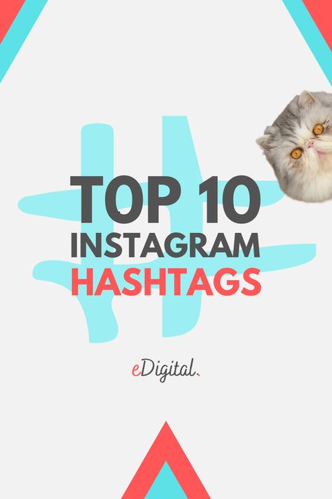 THE TOP 10 MOST POPULAR INSTAGRAM HASHTAGS Popular Instagram Hashtags, Social Media Strategy Plan, New Instagram Logo, Ranking List, Marketing Plan Template, Trending Hashtags, Popular Hashtags, Digital Marketing Plan, Social Media Marketing Plan