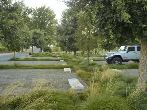 Parking Lot Architecture, Urban Landscape Design, Landscape Elements, Park Landscape, Landscape Architecture Design, Rain Garden, Green Park, Parking Design, Salou