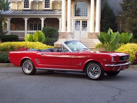 1966 Ford Mustang Convertible, Cherry Apple Red. Dream Car 1966 Ford Mustang Convertible, 66 Ford Mustang, Mustang 1966, Red Mustang, Ford Convertible, Classic Car Photography, 65 Mustang, 1965 Mustang, Ford Mustang Coupe