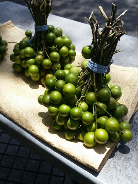 Quenepas de Puerto Rico Fruit Stand, Fruit Stands, Island Food, Exotic Fruit, Magnolia Flower, Caribbean Islands, Food Obsession, Cafe Food, Pretty Food