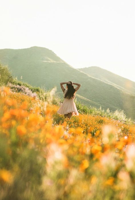 Walker Canyon Lake Elsinore, California Super Bloom • TravelBreak Lake Elsinore California, Meadow Photography, Hoco Pics, Super Bloom, Flower Photoshoot, Lake Elsinore, California Photos, Canyon Lake, Outdoor Photoshoot