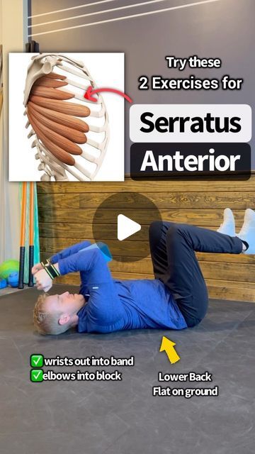 Dr. Adam McCluskey PT, DPT on Instagram: "💥Fix Your Weak Serratus Anterior and Painful Shoulder! Give these 2 a try! (Shoulder Rehab + Mobility Program in @theptinitiative bio link!) . . 🔑The serratus anterior is an important muscle that sits underneath your shoulder blade and wraps around the side to your ribs. It plays a significant role in keeping your scapula moving optimally when reaching overhead. —- 🔎Sometimes when we don’t have optimal stability of the shoulder blade, the scapula can “wing out” leading to the popular term – scapular winging. — 🤓Don’t view winging scapula as a diagnosis but instead a description of movement quality. Whenever I see a scapula winging out with clients of mine, I use it as a guide to investigate further if their shoulder stabilizers need a bit of st Serratus Anterior, Serratus Anterior Workout, Shoulder Rehab, Shoulder Pain, Fix You, Instagram