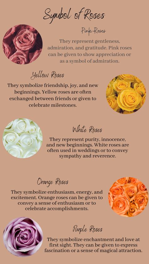 Orange Rose Meaning, Yellow Rose Symbolism, Orange Roses Meaning, Yellow Flowers Meaning, Yellow Tulips Meaning, Pink Rose Meaning, Red Rose Meaning, Yellow Roses Aesthetic, Rose Symbolism