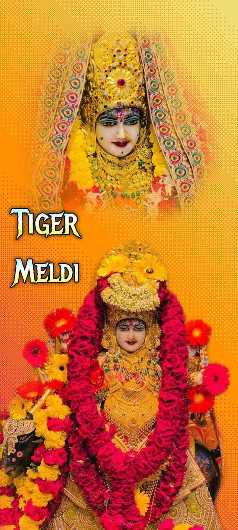 Masani Meldi Maa Hd Wallpaper, Masani Meldi, Sikotar Maa, Meldi Maa, Maa Image, Meldi Ma Hd Photo, Download Hair, Wallpaper Photo Gallery, Green Screen Background Images