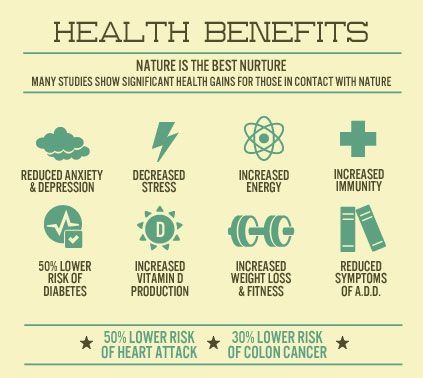 River Rock Adventures on Twitter: "Reconnect with the Great Outdoors and discover the link between human health and the natural environment. 🌲#nature #Health #getoutside  #RiverRockAdv… https://t.co/39qvM3wVXM" David Suzuki, Being Outdoors, Therapy Animals, Health Guide, Types Of Cancers, Organic Health, Alternative Health, Get Outside, Ayurveda