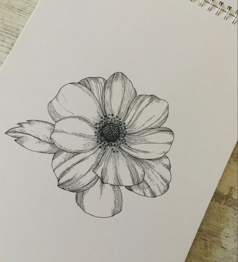 Anemone Coronaria Drawing, Anemone Coronaria Tattoo, Anemone Tattoo Design, Anenome Flower Tattoos, Fineliner Flowers, Anemone Flower Tattoo, Anenome Flower, Anemone Tattoo, Outline Flowers