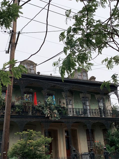 New Orleans, southern gothic Old New Orleans Homes, Bayou New Orleans, New Orleans Apartment Interior, New Orleans Louisiana Aesthetic, Vintage New Orleans Aesthetic, New Orleans Gothic, Haunted New Orleans Aesthetic, Spooky New Orleans Aesthetic, Clerestory House