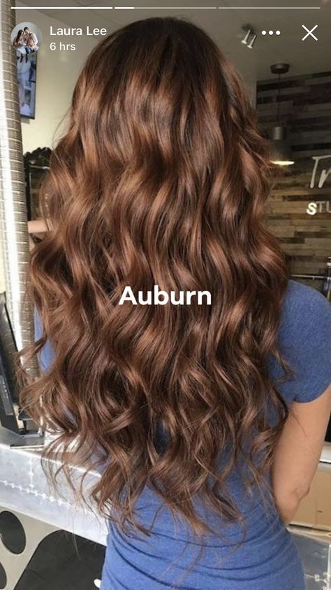 Hairstyle For Beginners, Cowboy Copper Hair, Cowboy Copper, Brown Hair Looks, Brown Hair Inspo, Brunette Hair With Highlights, Hair Color Auburn, Trendy Hair Color, Trendy Hair