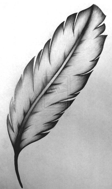 Native American Feather Tattoo Men, Feather Tattoo Drawing, Burning Feather, Mine Map, Tattoo Plume, Feather Sketch, Native American Feathers, Feather Drawing, Feather Tattoo Design