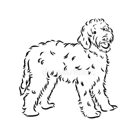 Curly Dog Drawing, Standing Sketch, Labradoodle Illustration, Curly Dog, Sketch Outline, Dog Drawing Simple, Dog Brand, Dog Outline, Labradoodle Dogs