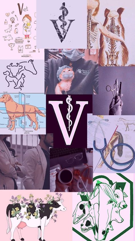 Pin em Vet‍‍⚕️ Vet School Aesthetic Wallpaper, Vet Med Student Aesthetic, Vet Med Wallpaper, Vet Tech Aesthetic Wallpaper, Veterinarian Aesthetic Black Women, Veterinary Wallpaper Iphone, Veterinary Aesthetic Wallpaper, Black Veterinarian Aesthetic, Future Veterinarian Wallpaper