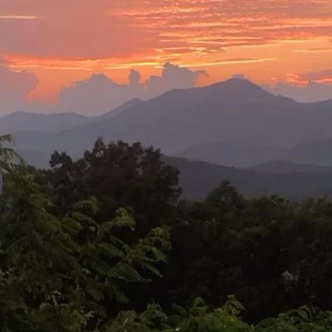 Hope • Chattanooga Hiking Tour Guide on Instagram: "my favorite areas that we got to explore this year around Tennessee (with Chattanooga as our home base) 🌲🚗⬇️ …and yes we visited West TN too but not for exploring so didn’t make the vid 😅 sorry!!! middle tennessee 📌 1.5-2 hours away from Chattanooga we road tripped to some of the biggest waterfalls in the state. most are in the Tennessee state parks and can be accessed for free or with a small fee & permit. we loved this area in the spring & summertime! northeast tennessee 📌 3 hours away from Chattanooga are multiple parks that are incredible for hiking to rock arches & formations near the KY/TN border. there is very little cell service in these parts but you trade that for the stars at night. we LOVE this area in winter but also had Tennessee State Parks, Tennessee State, Middle Tennessee, Chattanooga Tennessee, Family Trips, Stars At Night, Tour Guide, Our Home, Family Travel