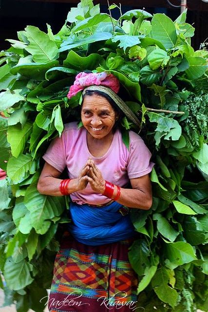 Namaste Nepal, Nepal People, Travel Nepal, Nepal Culture, Indian Art Gallery, Landlocked Country, Nepal Travel, Gautama Buddha, Village Life