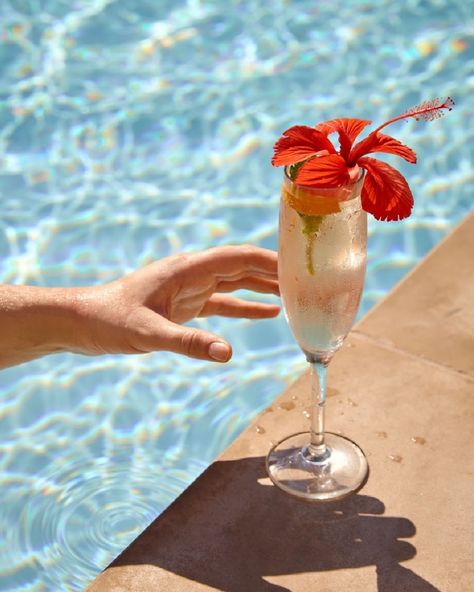 Rosewood Baha Mar on Instagram: “Cheers to the weekend! 🥂 #RosewoodHotels #RosewoodBahaMar #ASenseofPlace #ASenseofTaste #RWJourneys” Pool Product Photoshoot, Pool Day Pictures, Airbnb Photos, Rosewood Baha Mar, Pool Lifestyle, Pool Food, Baha Mar, Hotel Ads, Pool Beach Party