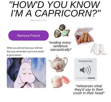 Capricorn + Core + Aesthetic, Capricorn Core, Capricorn Personality Traits, Capricorn Personality, Capricorn Aesthetic, Zodiac Signs Pictures, Capricorn Girl, Capricorn Love, Capricorn Life