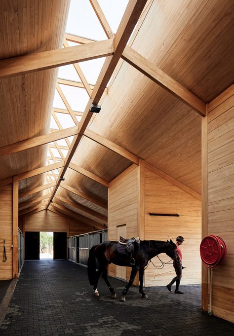 Elongated skylight illuminates Chilean stables by Matias Zegers Architects Stables Architecture, Stable Architecture, Equestrian Architecture, Timber Truss, Timber Architecture, Fibreglass Roof, Timber Roof, Wood Architecture, Roof Architecture