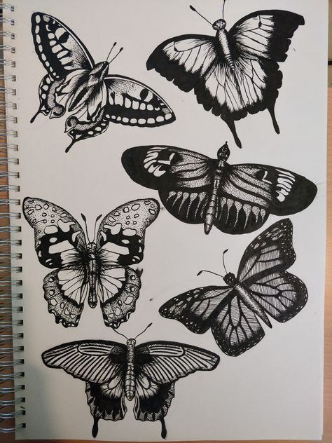 Ink drawing I have created of Butterflies, using ink dip pens Butterfly Ink Drawing, Biomechanical Art, Butterfly Koi, Art Markers Drawing, Markers Drawing, Butterfly Sketch, Painting Images, Art Markers, Pen Illustration