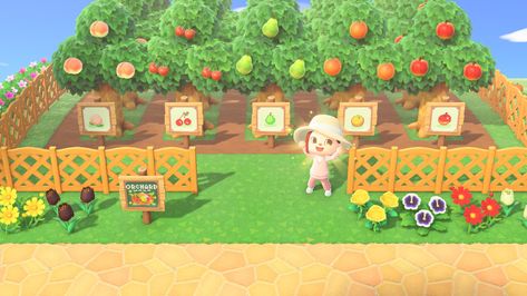 Acnh Mini Orchard, Orchard Acnh Ideas, Acne Orchard, Fruit Orchard Animal Crossing, Animal Crossing Fruit Orchard, Acnh Tree Orchard Ideas, Animal Crossing Tree Farm, Potager Animal Crossing New Horizon, Acnh Fruit Orchard Ideas