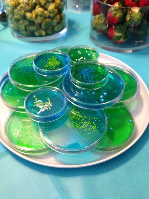 another shot of petri dish jello Laboratory Theme Party, Dna Themed Party, Lab Themed Party, Jello Petri Dish, Lab Tech Graduation Party, Biology Grad Party, Petri Dish Jello Shots, Biology Graduation Party, Biology Party