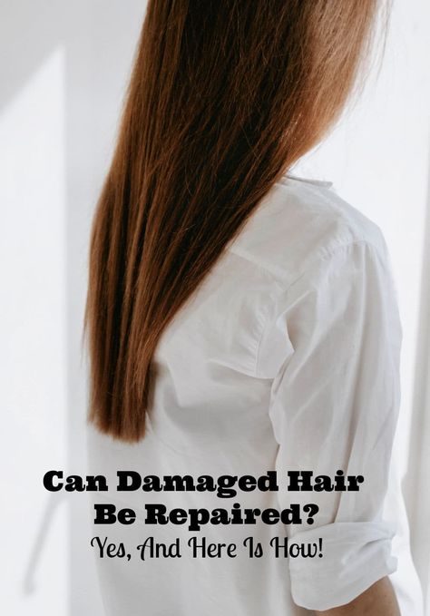 Do you have heat damaged hair or did you get a bad dye job? Here are 5 Amazing Natural Ways to Restore Your Hair Health! #hair #DIYbeauty #beautytips #hairtips Hair Repair Diy, Natural Hair Repair, Damaged Hair Diy, Hair Plopping, Heat Damaged Hair, Stop Hair Breakage, Dead Hair, Haircare Routine, Hair Remedies