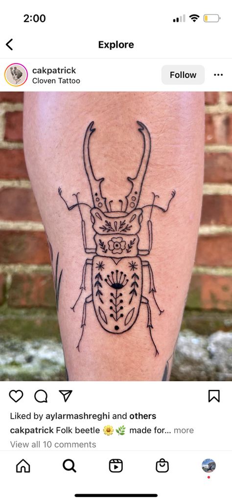 Chris Kirkpatrick, Beetle Tattoo, Flash Designs, Funky Tattoos, Insect Tattoo, Bug Tattoo, Tattoo Portfolio, Line Work Tattoo, Time Tattoos