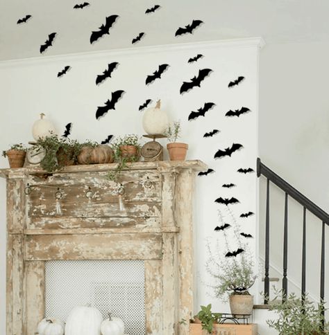 Bat Decorations, Halloween Bat Decorations, Bat Wall, Diy Halloween Decor, Fly On The Wall, Halloween Bat, Halloween Door, Decor Hanging, Black Bat