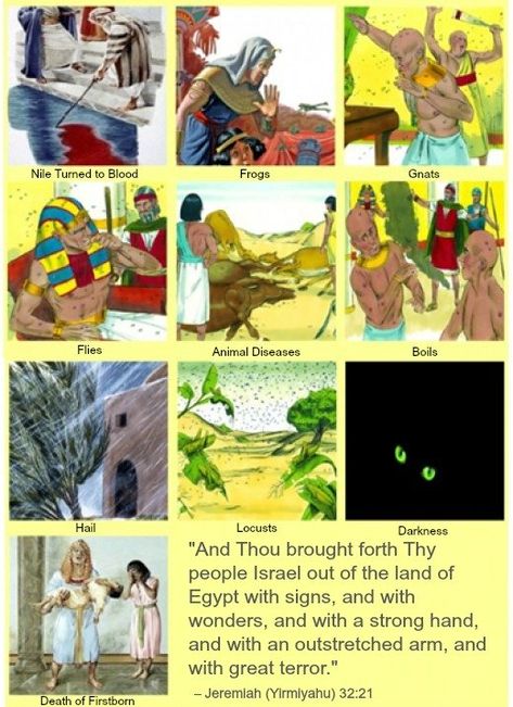 The Ten Plagues Ten Plagues, Passover Seder, Seder Plate, Strong Hand, Passover, Sunday School, Egypt, Bible