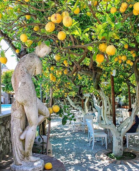 Capri Italia, Painted Brick Exteriors, Capri Island, Lemon Trees, Tuscany Travel, Capri Italy, Painted Brick, Exterior Brick, Insta Photo