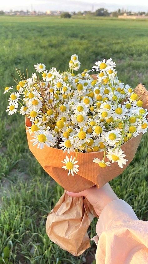 Flower Boquet, Good Morning Happy Sunday, Boquette Flowers, Nothing But Flowers, Pablo Neruda, Flower Therapy, Beautiful Bouquet Of Flowers, Spring Aesthetic, Good Morning Happy