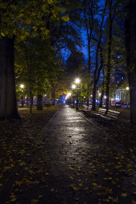 Night Serenity, Portland Oregon Portland At Night, Portland Oregon Night, Portland Oregon Aesthetic Night, Portland Oregon Aesthetic, Rainy Aesthetic, Oregon Aesthetic, Downtown Portland Oregon, City Life Aesthetic, Portland Street