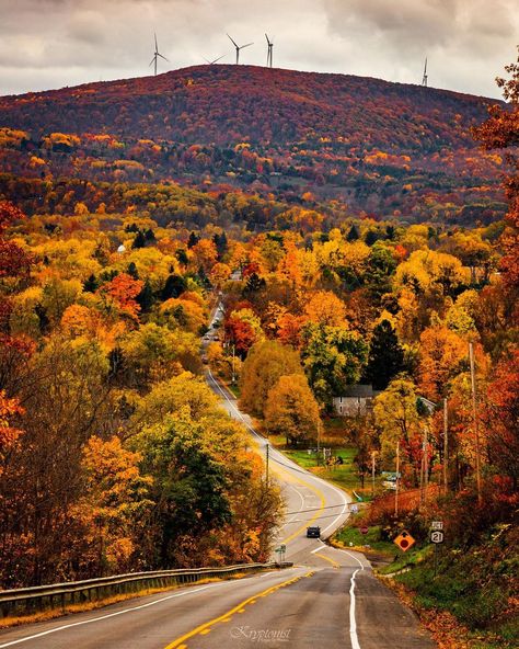 Edgar L. on Instagram: “🍁🍁🍁 Finger Lakes mountains. . . . . . #flx #countryside #country #fall #ispyny #upstatenewyork #kryptonist #travel #foliage #autumnleaves…” Finger Lakes New York, New York Countryside, The Finger Lakes, Finger Lakes, Upstate New York, New York State, Best Places To Travel, Pretty Colours, Fall Vibes