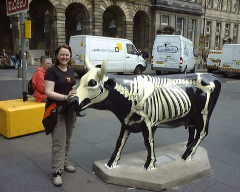 cow parade Cow Parade, Country Cow, Animal Parade, Barn Quilt, Cow, Street Art, Lion Sculpture, Elephant, Statue