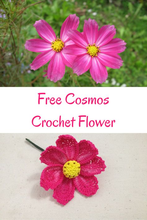 Coneflower Crochet, Bellflower Crochet Pattern, Realistic Crochet Flowers Free, Crochet Cosmos Flower Free Pattern, Crochet Wild Flowers Free Pattern, Crochet Cosmos Flower Pattern, Knitted Flower Pattern, Crochet Embellishments, Free Crochet Doily Patterns