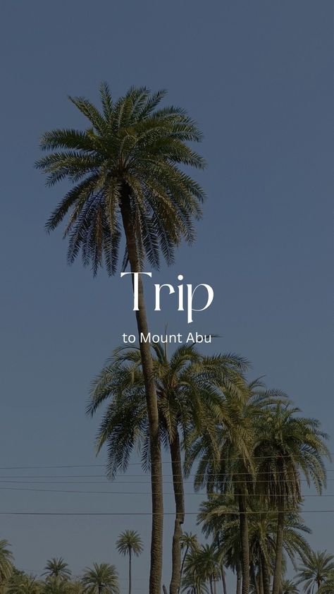 Mount Abu Aesthetic, Mount Abu Photography Poses, Mount Abu Snap, Mount Abu Snapchat Story, Mount Abu Photography, Solo Poses, Nature Photography Quotes, Trees Photography, Mount Abu